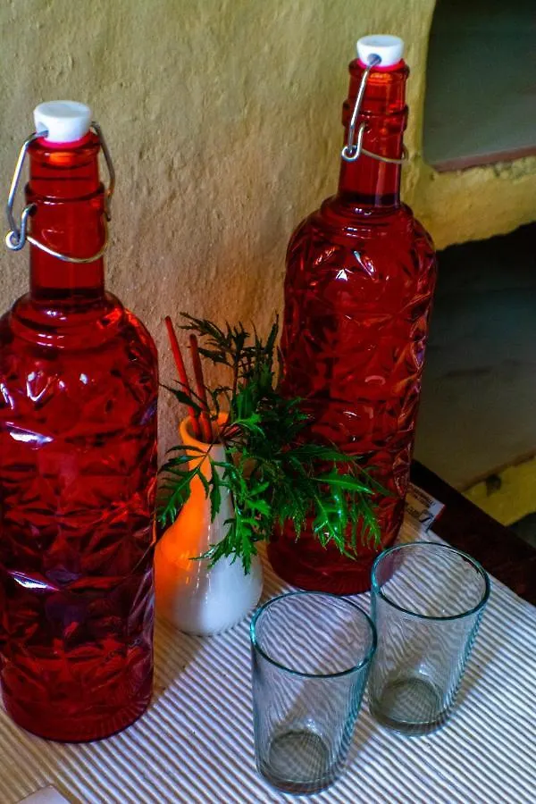Eden Garden Ayurvedic Health Retreat Hotel Varkala